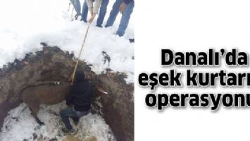 DANALI&rsquo;DA EŞEK KURTARMA OPERASYONU!
