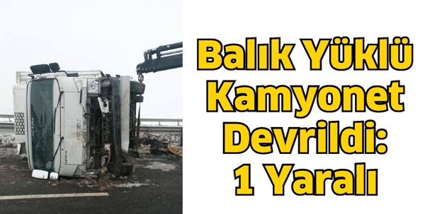 BALIK Y&Uuml;KL&Uuml; KAMYONET DEVRİLDİ: 1 YARALI