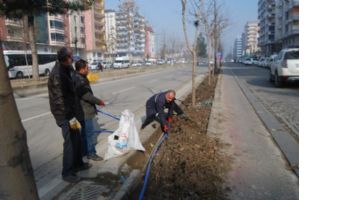 PARK BAH&Ccedil;E EKİPLERİ, YAZA HAZIRLIK YAPIYOR