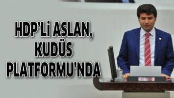 HDP&rsquo;Lİ ASLAN, KUD&Uuml;S PLATFORMU&rsquo;NDA