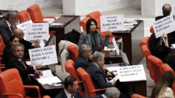 HDP'DEN TBMM'DE D&Ouml;VİZLİ PROTESTO