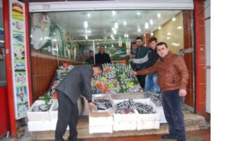BALIK D&Uuml;NYASI&rsquo;NDA &Ccedil;EŞİT BOL