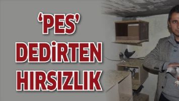 &lsquo;PES&rsquo; DEDİRTEN HIRSIZLIK