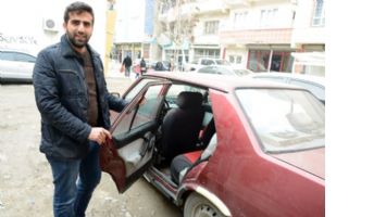 ZEYTİN, PEYNİR HIRSIZLIĞI!