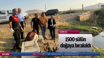 1500 s&uuml;l&uuml;n, doğaya bırakıldı  