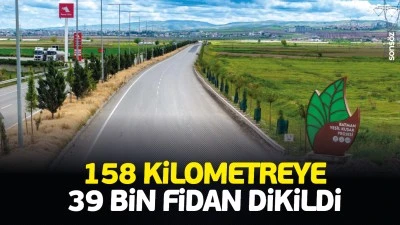158 kilometreye 39 bin fidan dikildi