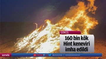 160 bin k&ouml;k Hint keneviri imha edildi