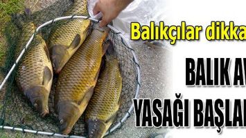 1 NİSAN&ndash; 1 TEMMUZ AYLARINDA AVLANMAK YASAK!