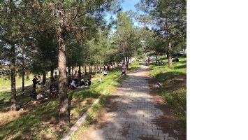 PİKNİK SEZONU A&Ccedil;ILDI