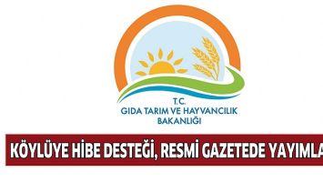 K&Ouml;YL&Uuml;YE HİBE DESTEĞİ, RESMİ GAZETEDE YAYIMLANDI