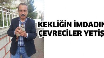 KEKLİĞİN İMDADINA &Ccedil;EVRECİLER YETİŞTİ