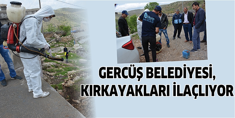 GERC&Uuml;Ş BELEDİYESİ, KIRKAYAKLARI İLA&Ccedil;LIYOR