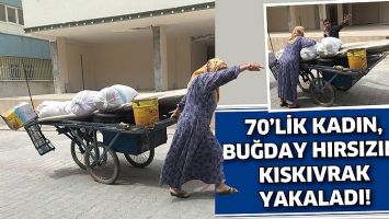 70&rsquo;LİK KADIN, BUĞDAY HIRSIZINI KISKIVRAK YAKALADI!
