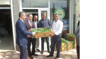 GERC&Uuml;ŞL&Uuml; &Ccedil;İFT&Ccedil;İYE FİDE DAĞITILDI