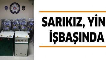 SARIKIZ, YİNE İŞBAŞINDA