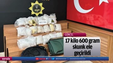 17 kilo 600 gram skunk ele ge&ccedil;irildi