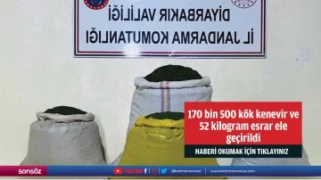 170 bin 500 k&ouml;k kenevir ve 52 kilogram esrar ele ge&ccedil;irildi