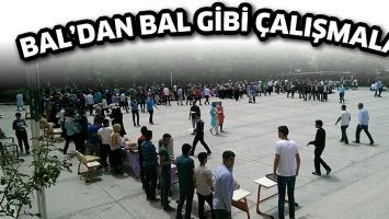 BAL'DAN BAL GİBİ &Ccedil;ALIŞMALAR