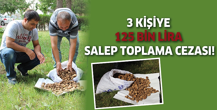 3 KİŞİYE 125 BİN LİRA SALEP TOPLAMA CEZASI!