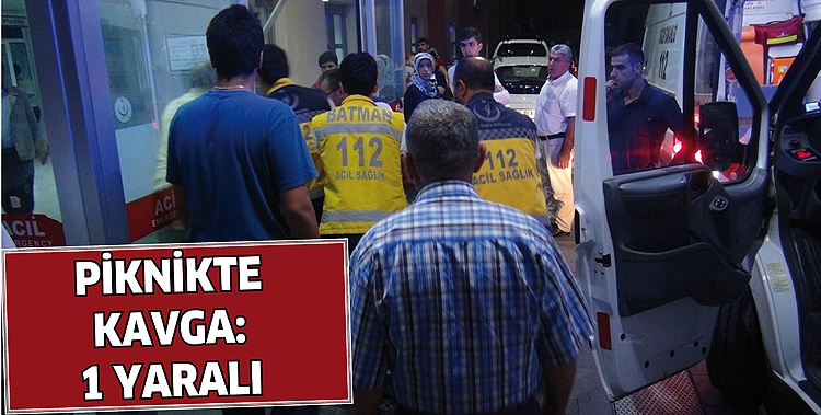 PİKNİKTE KAVGA: 1 YARALI