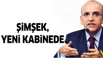 ŞİMŞEK, YENİ KABİNEDE