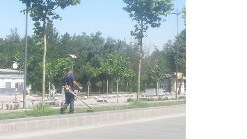PARK BAH&Ccedil;E, &Ccedil;İM Bİ&Ccedil;İYOR