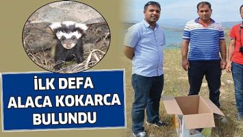 BATMAN&rsquo;DA İLK DEFA ALACA KOKARCA BULUNDU