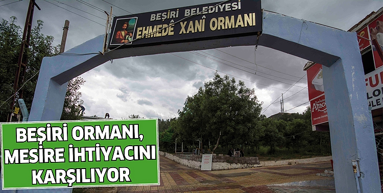 BEŞİRİ ORMANI, MESİRE İHTİYACINI KARŞILIYOR