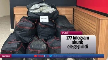 177 kilogram skunk ele ge&ccedil;irildi