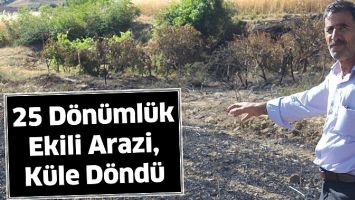 25 D&Ouml;N&Uuml;ML&Uuml;K EKİLİ ARAZİ, K&Uuml;LE D&Ouml;ND&Uuml;