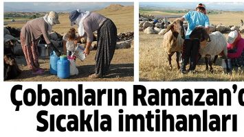 BERİVANLARIN RAMAZAN'DA SICAKLA İMTİHANI