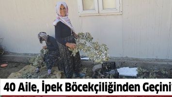 40 AİLE, İPEK B&Ouml;CEK&Ccedil;İLİĞİNDEN GE&Ccedil;İNİYOR
