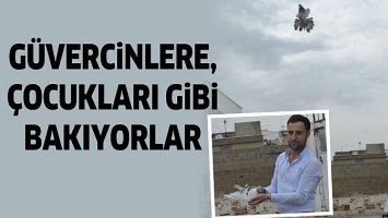 G&Uuml;VERCİNLERE, &Ccedil;OCUKLARI GİBİ BAKIYORLAR