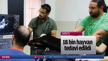 18 bin hayvan tedavi edildi