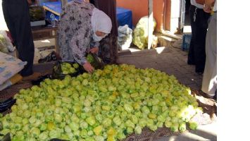 ALIŞVERİŞİN KALBİ ALO TEVŞO&rsquo;DA ATIYOR&hellip;