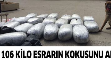 106 KİLO ESRARIN KOKUSUNU ALDI!