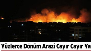 Y&Uuml;ZLERCE D&Ouml;N&Uuml;M ARAZİ CAYIR CAYIR YANDI