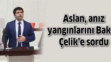 ASLAN, ANIZ YANGINLARINI BAKAN &Ccedil;ELİK&rsquo;E SORDU