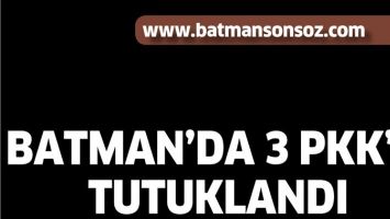 BATMAN&rsquo;DA 3 PKK&rsquo;LI TUTUKLANDI