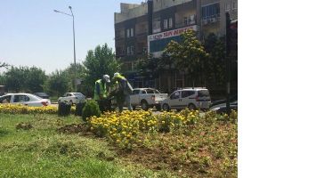 ORTA REF&Uuml;JLER TEMİZLENİYOR