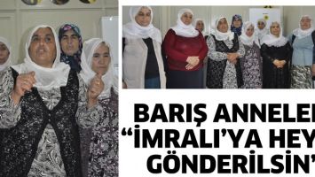 BARIŞ ANNELERİ &ldquo;İMRALI&rsquo;YA HEYET G&Ouml;NDERİLSİN&rdquo;