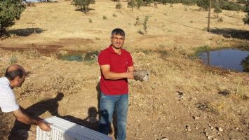 50 KEKLİK DOĞAYA SALINDI