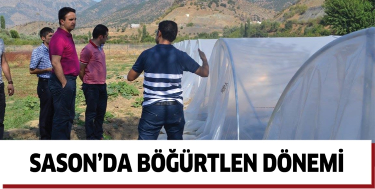 Sason&rsquo;da b&ouml;ğ&uuml;rtlen d&ouml;nemi