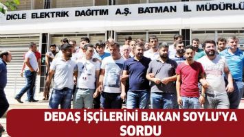 DEDAŞ İŞ&Ccedil;İLERİNİ BAKAN SOYLU&rsquo;YA SORDU