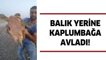 BALIK YERİNE KAPLUMBAĞA AVLADI!