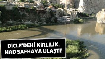 DİCLE&rsquo;DEKİ KİRLİLİK, HAD SAFHAYA ULAŞTI!