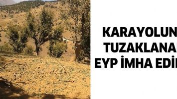 KARAYOLUNA TUZAKLANAN EYP İMHA EDİLDİ