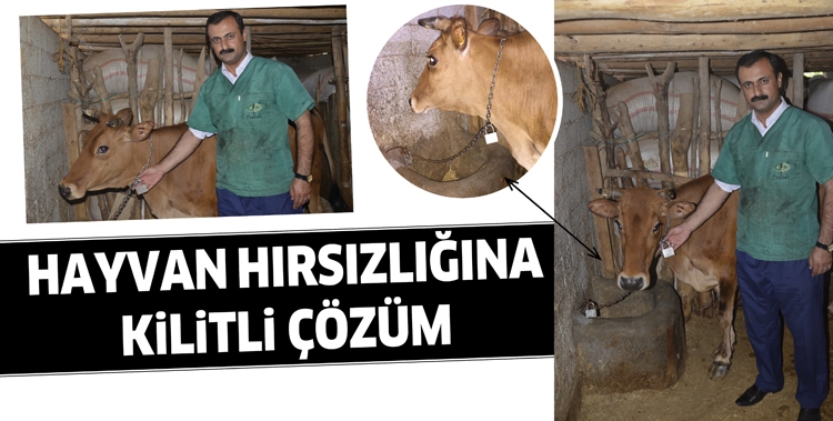 HAYVAN HIRSIZLIĞINA KİLİTLİ &Ccedil;&Ouml;Z&Uuml;M