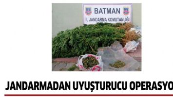 JANDARMADAN UYUŞTURUCU OPERASYONU!