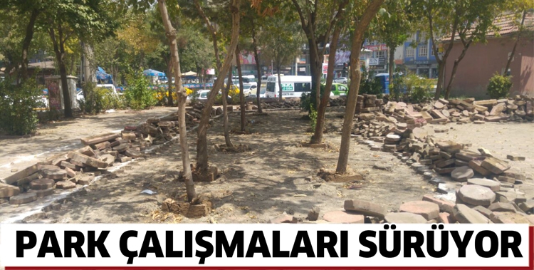 PARK &Ccedil;ALIŞMALARI S&Uuml;R&Uuml;YOR
